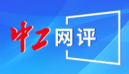 德国执政联盟就志愿兵役制改革达成一致